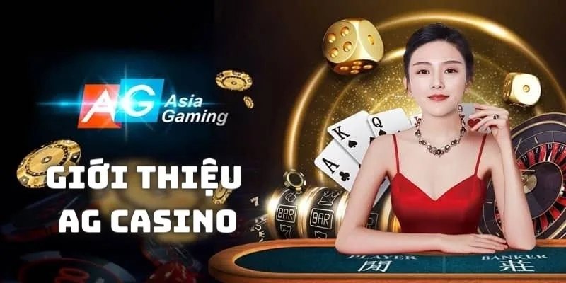 Tổng quan cơ bản về sảnh AG casino tại WW88